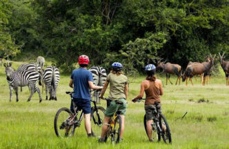 Lake Mburo Wildlife