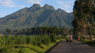 Rwanda Safari