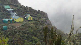 Rwenzori Hunswick Trek